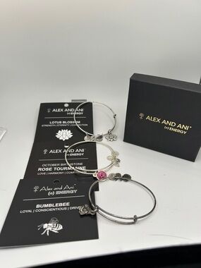 Set of 3 Alex and Ani Silver Tone Bangle Set with Rose Tourmaline